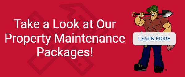 Property Maintenance Packages